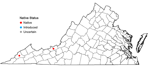 Locations ofRudbeckia triloba L. var. beadlei (Small) Fernald in Virginia