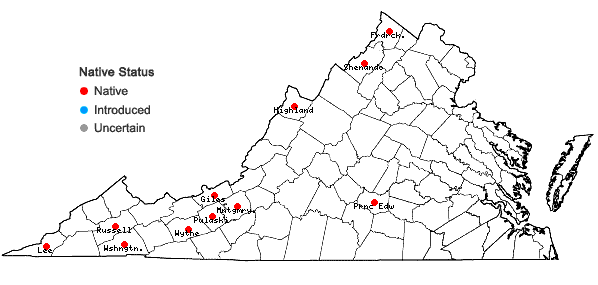 Locations ofRuellia humilis Nuttall in Virginia
