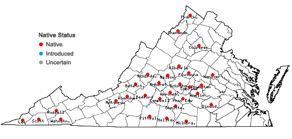 Locations ofRuellia purshiana Fernald in Virginia