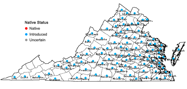 Locations ofRumex crispus L. ssp. crispus in Virginia