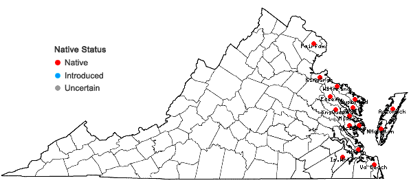 Locations ofRuppia maritima L. in Virginia