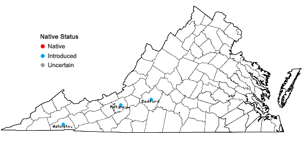 Locations ofRuta graveolens L. in Virginia