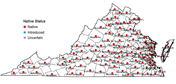 Locations ofSabatia angularis (L.) Pursh in Virginia