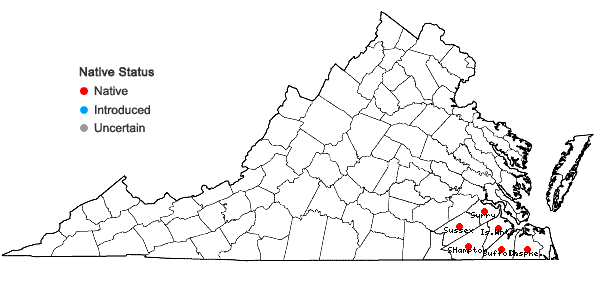 Locations ofSabatia calycina (Lam.) Heller in Virginia
