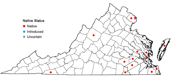 Locations ofSabatia campanulata (L.) Torr. in Virginia