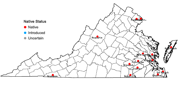 Locations ofSabatia campanulata (L.) Torr. in Virginia