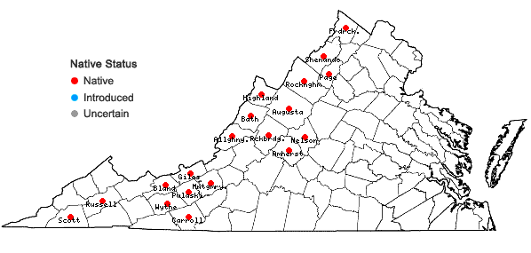 Locations ofSabulina michauxii (Fenzl) Dillenberger & Kadereit in Virginia