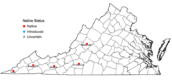 Locations ofSabulina patula (Michaux) Small in Virginia