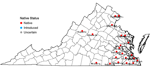 Locations ofSagittaria graminea Michaux in Virginia
