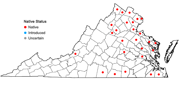 Locations ofSagittaria latifolia Willd. var. latifolia in Virginia