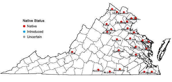 Locations ofSagittaria latifolia Willd. var. latifolia in Virginia