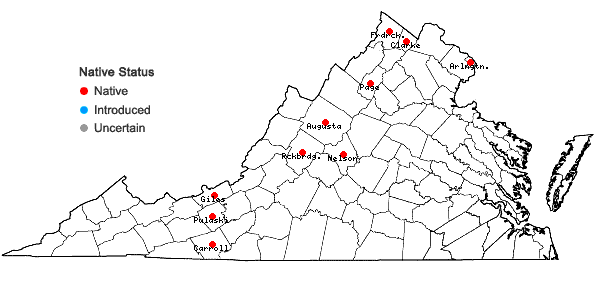 Locations ofSagittaria rigida Pursh in Virginia