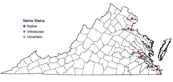 Locations ofSagittaria spatulata (J.G. Smith) Buchenau in Virginia