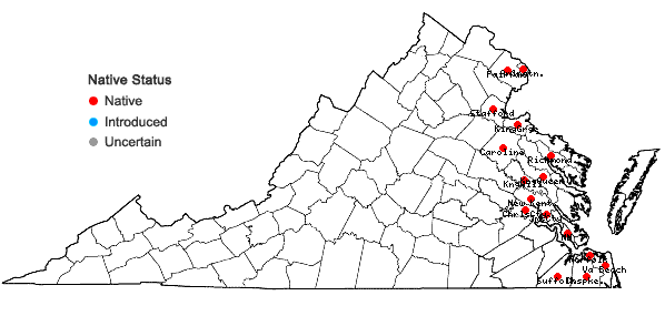 Locations ofSagittaria subulata (L.) Buch. in Virginia