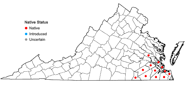 Locations ofSagittaria weatherbiana Fernald in Virginia