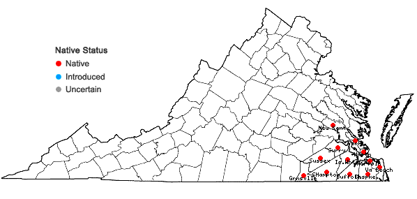 Locations ofSagittaria weatherbiana Fernald in Virginia