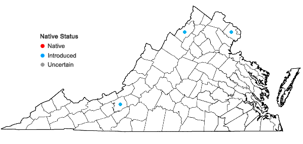 Locations ofSalix caprea L. in Virginia