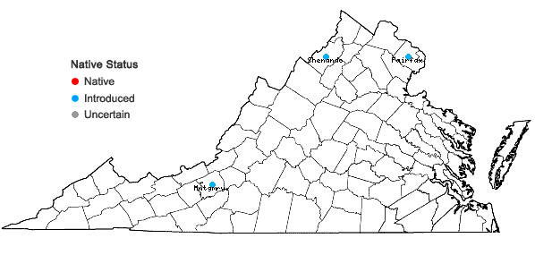 Locations ofSalix caprea L. in Virginia