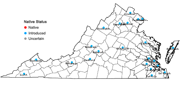 Locations ofSalix fragilis L. in Virginia