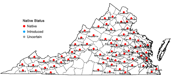 Locations ofSalix humilis Marshall in Virginia