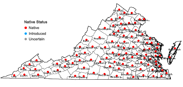 Locations ofSalix nigra Marsh. in Virginia