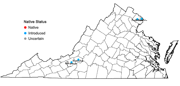 Locations ofSalix purpurea L. in Virginia