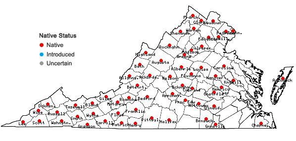 Locations ofSalix sericea Marsh. in Virginia