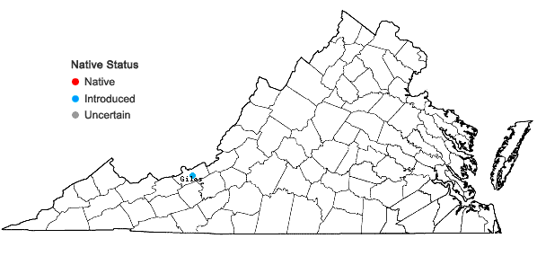 Locations ofSalix ×ehrhartiana Sm. in Virginia