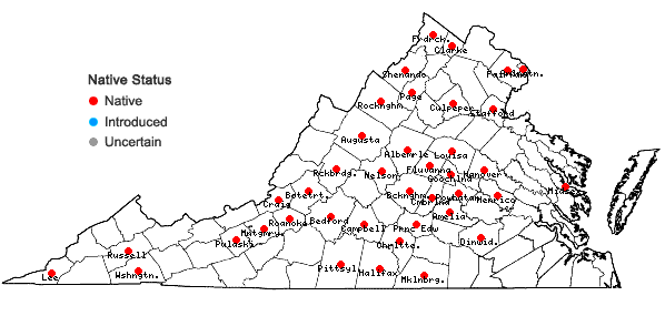Locations ofSalvia urticifolia L. in Virginia