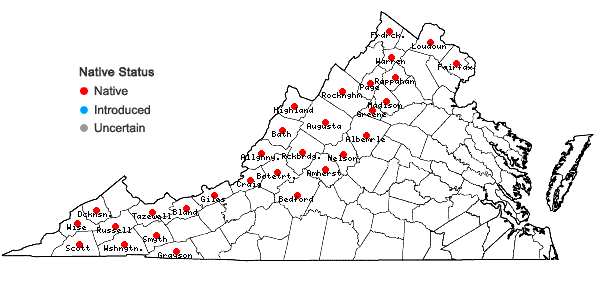 Locations ofSambucus racemosa L. var. pubens (Michx.) Koehne in Virginia