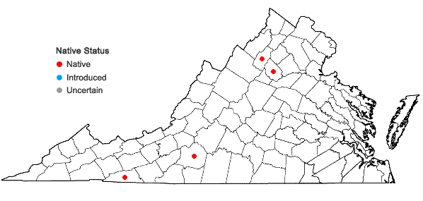Locations ofSanguisorba canadensis L. in Virginia