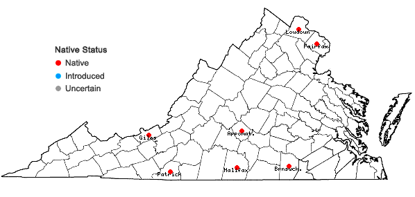 Locations ofSanicula canadensis L. var. grandis Fern. in Virginia
