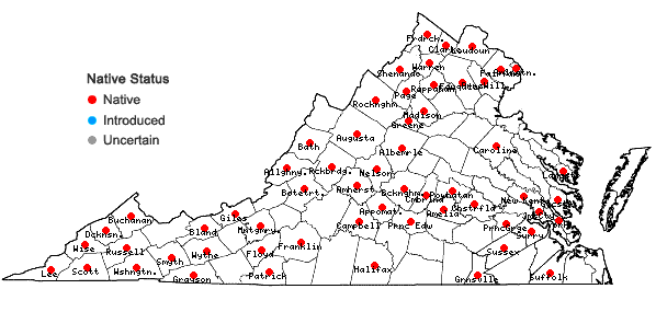Locations ofSanicula odorata (Raf.) K.M. Pryer & L.R. Phillippe in Virginia