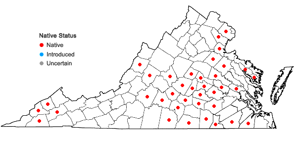 Locations ofSanicula smallii Bickn. in Virginia