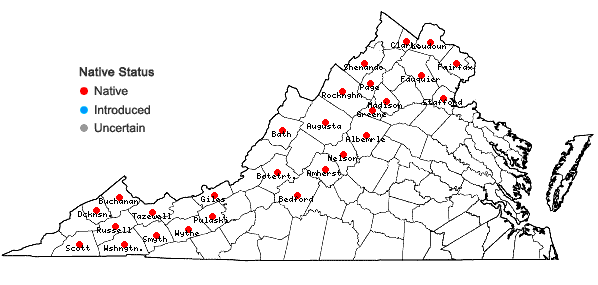 Locations ofSanicula trifoliata Bickn. in Virginia