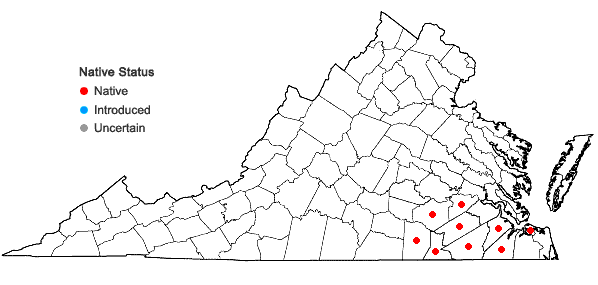 Locations ofSarracenia flava L. in Virginia