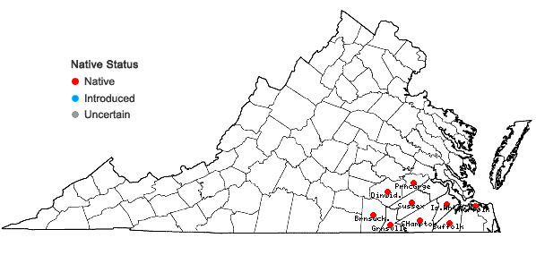 Locations ofSarracenia flava L. in Virginia