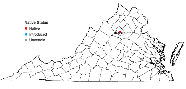 Locations ofScapania brevicaulis Taylor var. dubia R.M. Schust. in Virginia