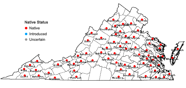 Locations ofScapania nemorea (L.) Grolle in Virginia