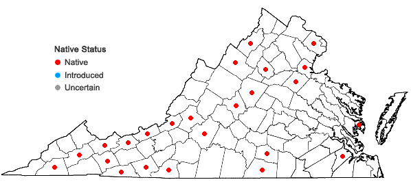 Locations ofScapania undulata (L.) Dumort. in Virginia