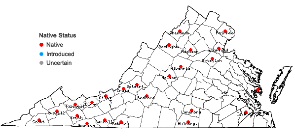 Locations ofScapania undulata (L.) Dumort. in Virginia