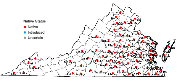 Locations ofSceptridium biternatum (Savigny) Lyon in Virginia