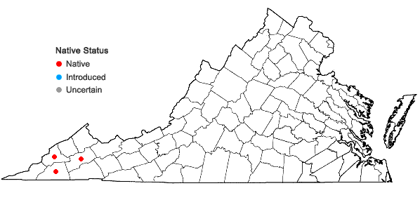 Locations ofSceptridium jenmanii (Underwood) Lyon in Virginia