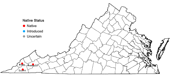 Locations ofSceptridium jenmanii (Underwood) Lyon in Virginia