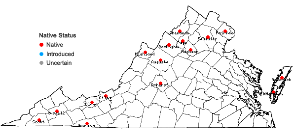 Locations ofSceptridium oneidense (Gilbert) Holub in Virginia