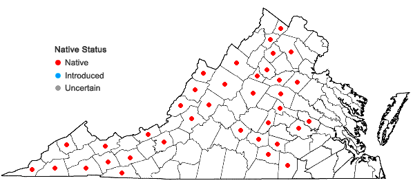 Locations ofSchistidium apocarpum (Hedw.) Bruch & Schimp. in Virginia