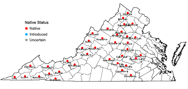 Locations ofSchistidium apocarpum (Hedw.) Bruch & Schimp. in Virginia