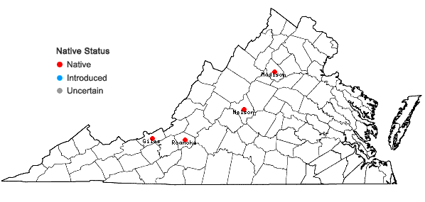 Locations ofSchistidium canadense (Dupr.) Ignatova & H.H. Blom in Virginia