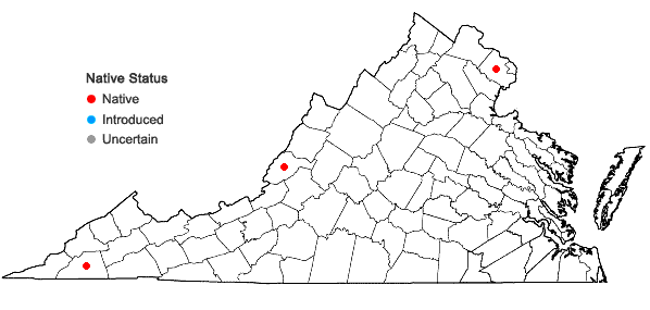 Locations ofSchistidium crassithecium H. H. Blom ex B. H. Allen in Virginia