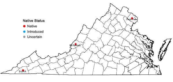 Locations ofSchistidium crassithecium H. H. Blom ex B. H. Allen in Virginia